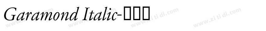 Garamond Italic字体转换